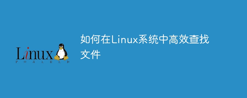 如何在linux系统中高效查找文件